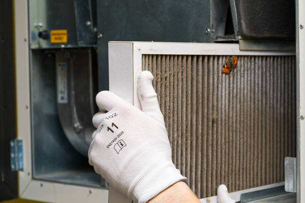 Best Air Duct Mold Removal  in Lewisville, TX