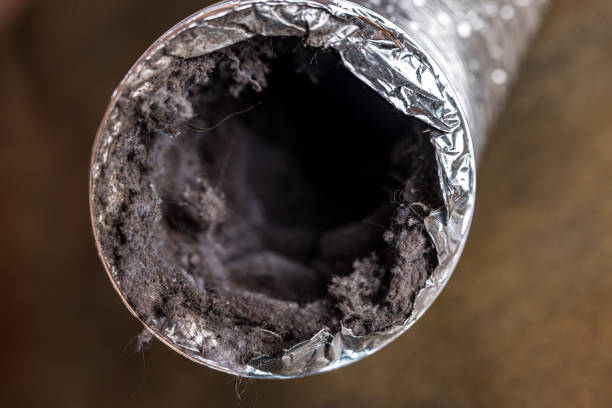 Best General Air Duct Cleaning  in Lewisville, TX