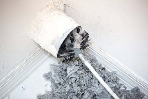 Best Local Air Duct Cleaning Services  in Lewisville, TX
